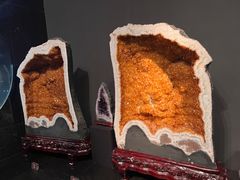 -烟台自然博物馆