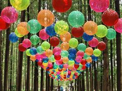 -黄海国家森林公园