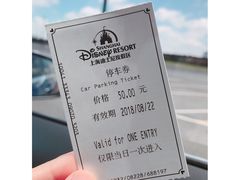 -迪士尼乐园停车场