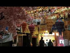 -吉祥圣雪藏餐