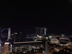 -新加坡丽思卡尔顿美年酒店
