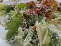 凯撒沙拉-大象厨房(重庆道店)