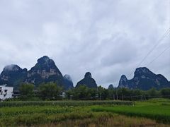 -明仕田园