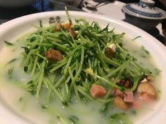 上汤豆苗-首秀·四川料理(星耀101店)