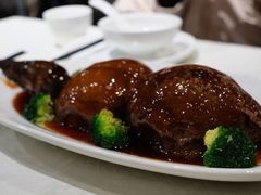 -丁老爷子苏香圆