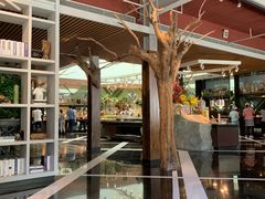 -春晖园度假酒店温泉