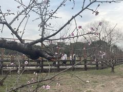 -良渚古城遗址公园
