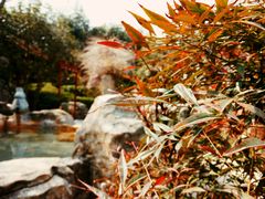 -金孔雀温泉旅游度假村