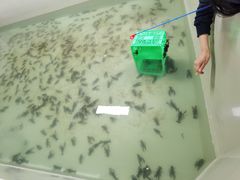 -北京美神宫艺术主题温泉酒店