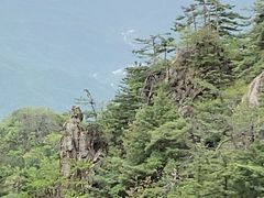-老君山风景名胜区