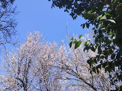 -蜀冈西峰生态公园