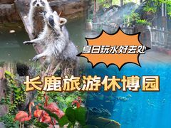 -长鹿旅游休博园