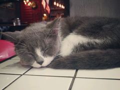 -MIKAKU(万达广场上海宝山店)