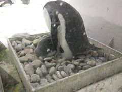 -大连圣亚海洋世界