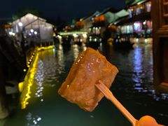-茅老太臭豆腐