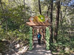 -大岭沟猕猴桃谷风景区