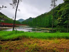 -广州市石门国家森林公园
