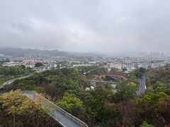 -福道