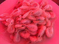 -小鱼草莓采摘园农家乐·小鱼餐厅