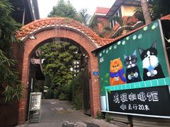 -有猫主题·治愈系猫咖(曾厝垵店)