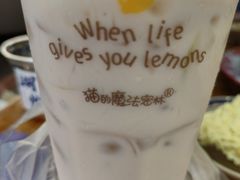 -猫的魔法密林(衣裳街店)