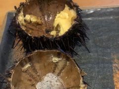 -海胆小馆(东北水饺·春柳店)