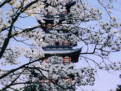 -上海方塔园