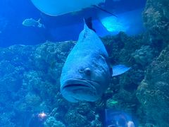 -海合安青岛极地海洋公园