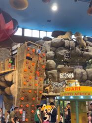 -卡通尼·Safari非洲探索乐园·生日会(金桥国际商业广场店)