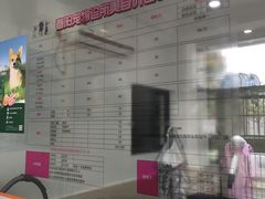 -暖阳宠物医院·犬猫康复中心·骨科
