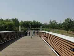 -马家湾湿地公园