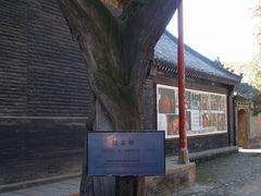 -关林