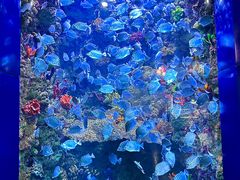 -海合安青岛极地海洋公园