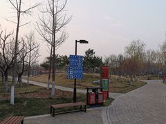 -东升文体公园