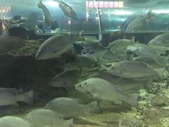 -秦皇岛新澳海底世界