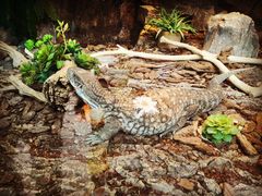 -黔灵山公园-南门售票处