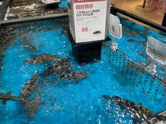 -盒马鲜生(皇庭广场店)