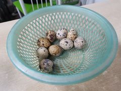 -瘦鬼老档糖水铺