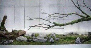 -六月嫁期婚礼(旗舰店)