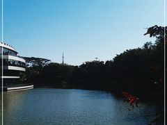 -深圳国际园林花卉博览园