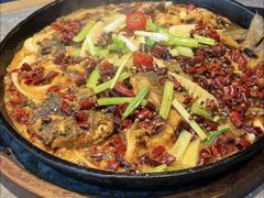 -老板恋上鱼(恒隆广场店)