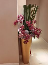 -蕾蕾美颜美容美体