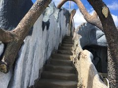 -疯狂屋