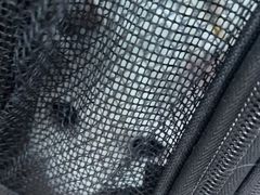 -纳吉亚猫专科动物诊疗中心(蒋宅口分院)