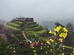 -石潭村