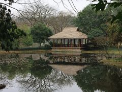 -茅家埠