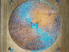 -上海昆虫博物馆