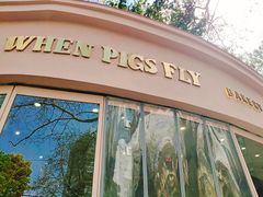 门面-WHEN PIGS FLY当猪飞
