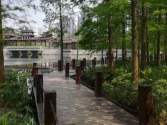 -重庆彩云湖湿地公园