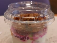 -Wagas沃歌斯(枫蓝国际店)